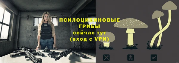СК Алексин