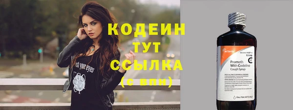 эйфоретик Алзамай