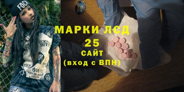 СК Алексин