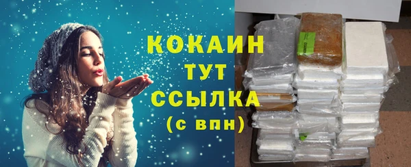 СК Алексин