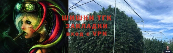 эйфоретик Алзамай