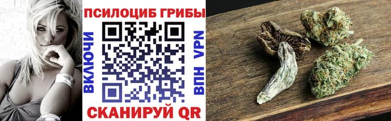 Галлюциногенные грибы мицелий  Чистополь 